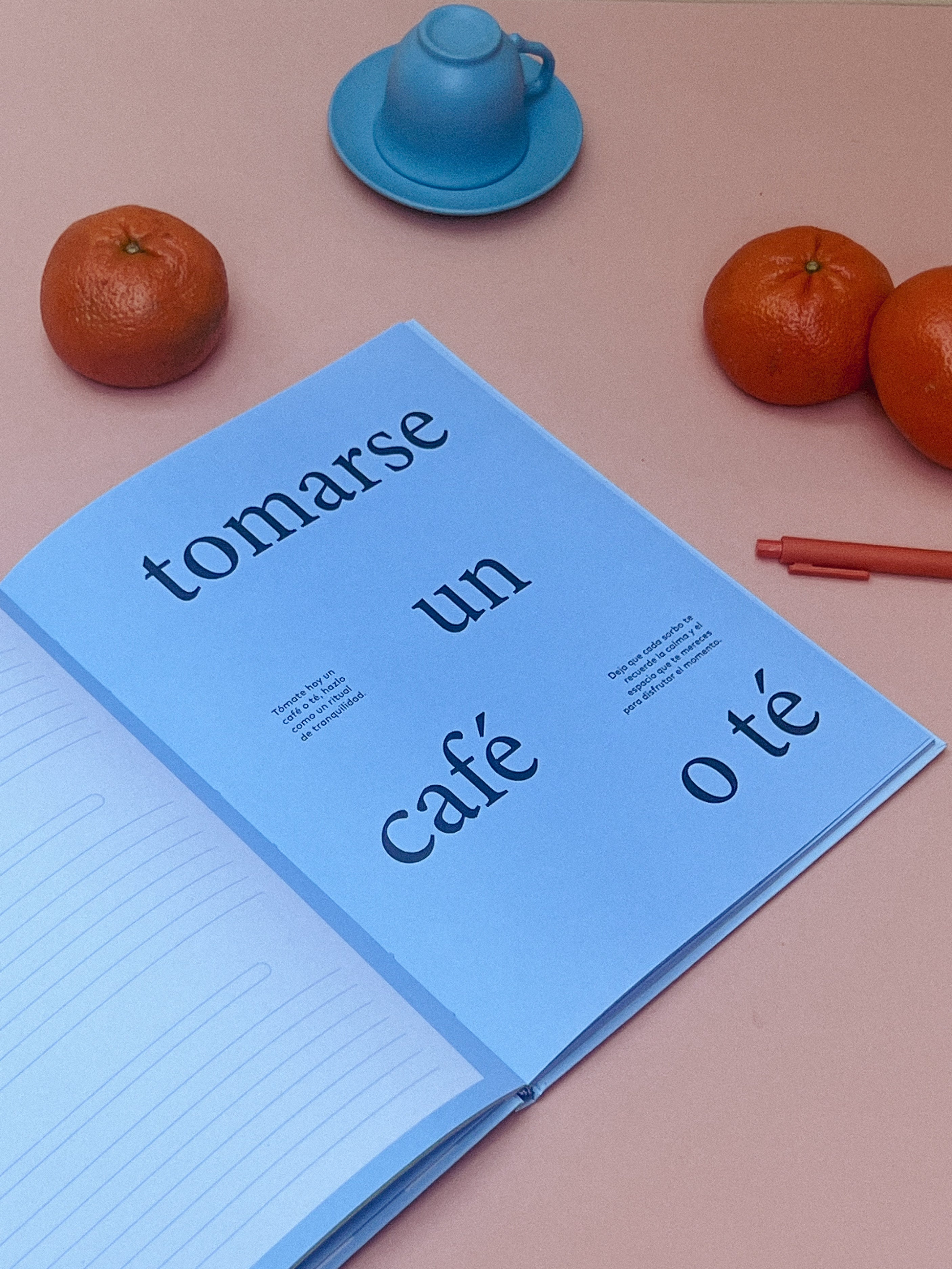JOURNAL DE GRATITUD