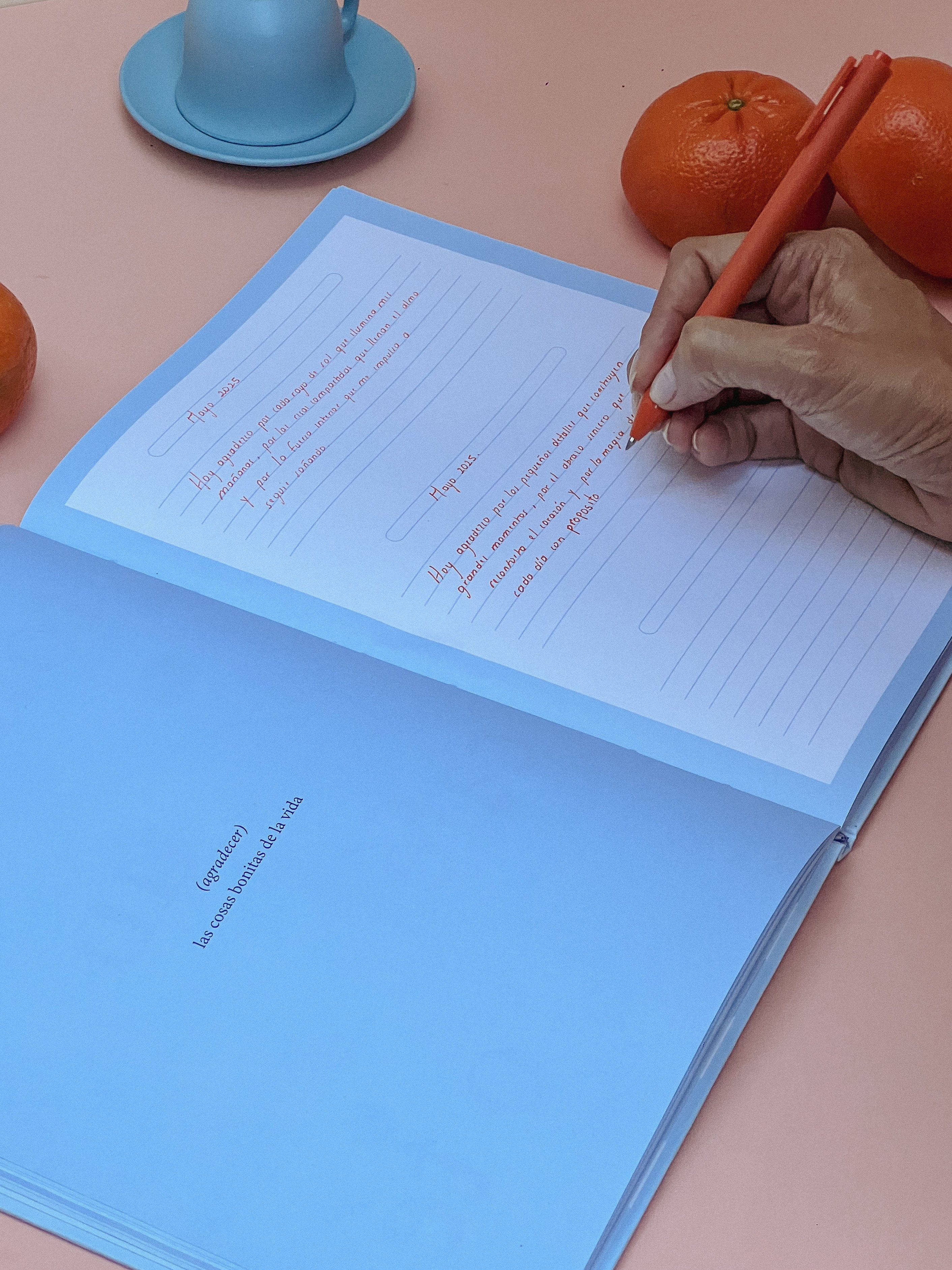 JOURNAL DE GRATITUD