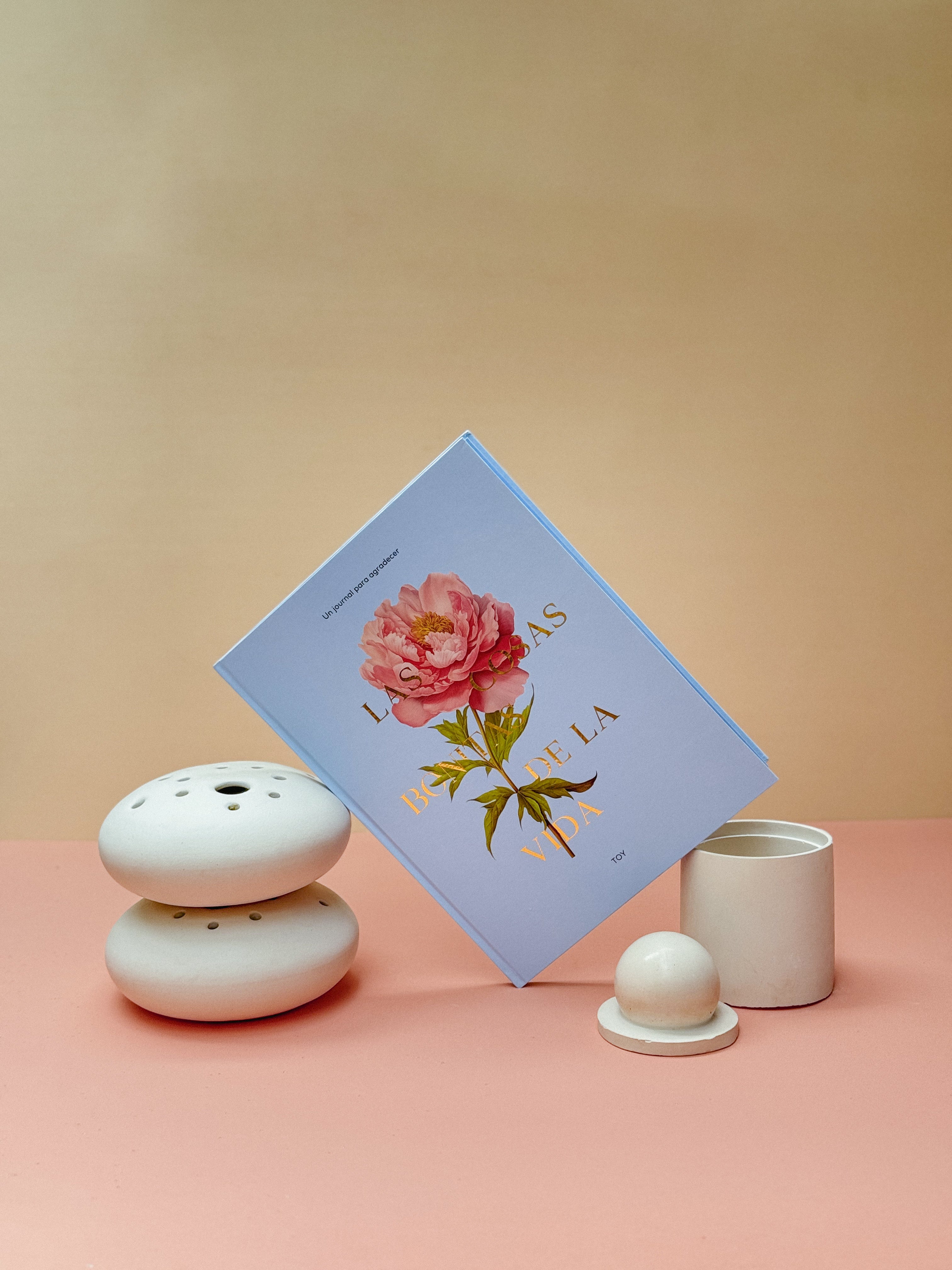 JOURNAL DE GRATITUD