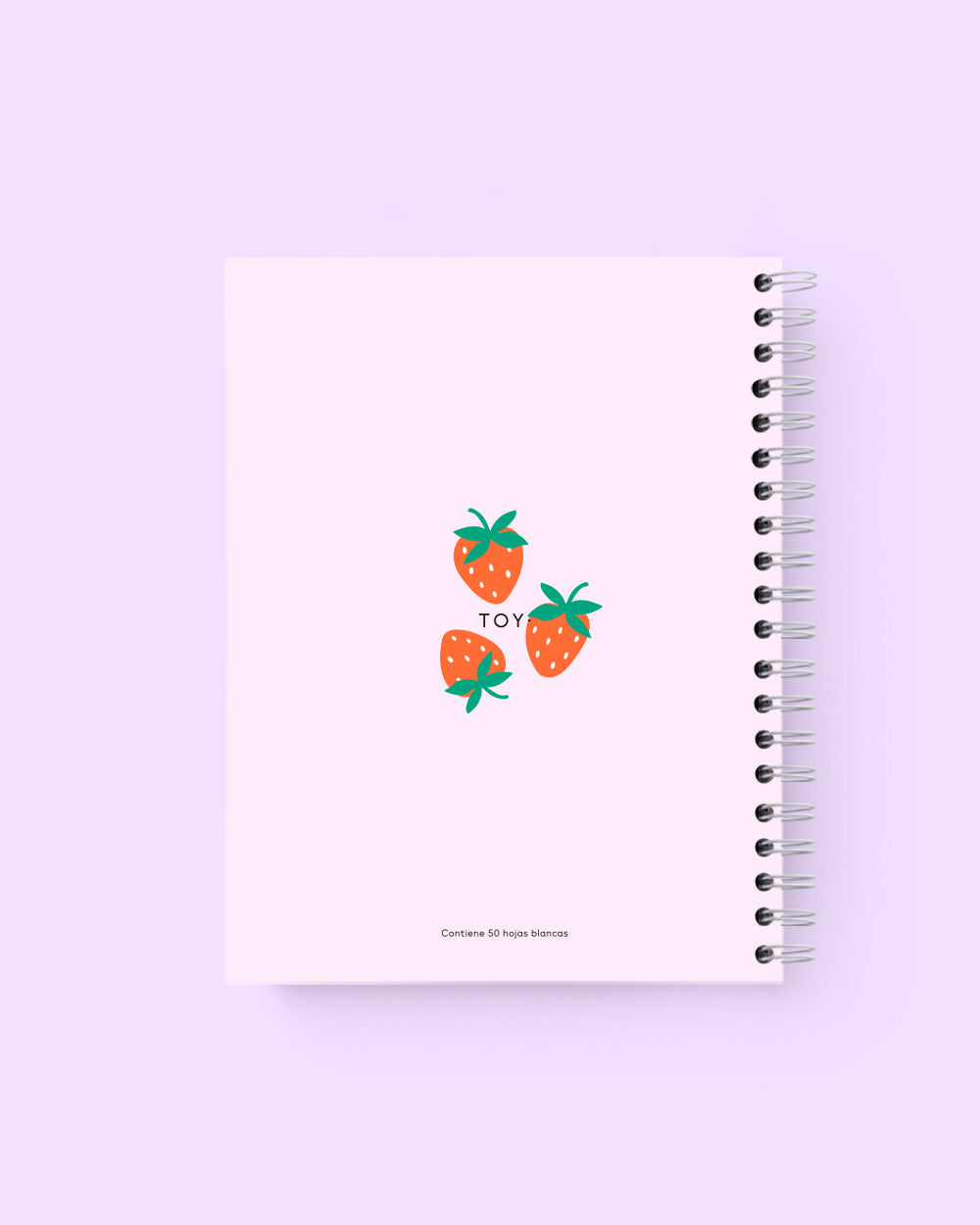 5 MATERIAS FRESAS PARTY RAYADO