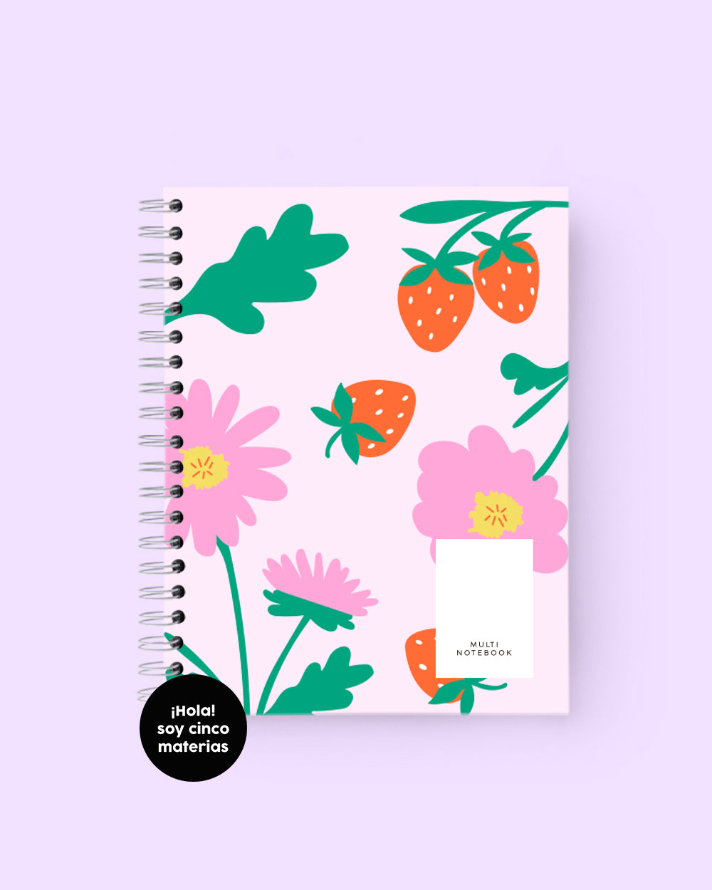 5 MATERIAS FRESAS PARTY RAYADO